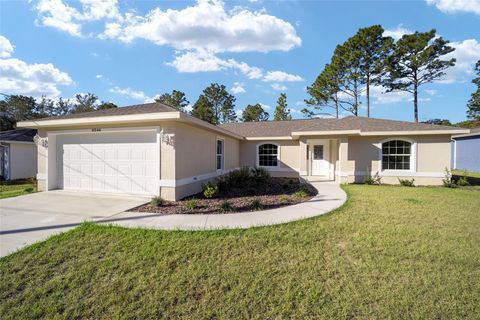 A home in CITRUS SPRINGS