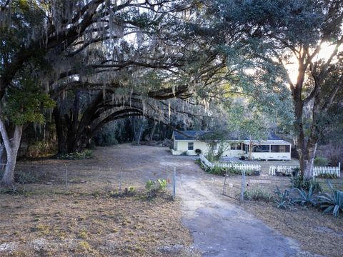 Photo of 16325 SE 134th Ct, Weirsdale, FL 32195 (MLS # V4945821)