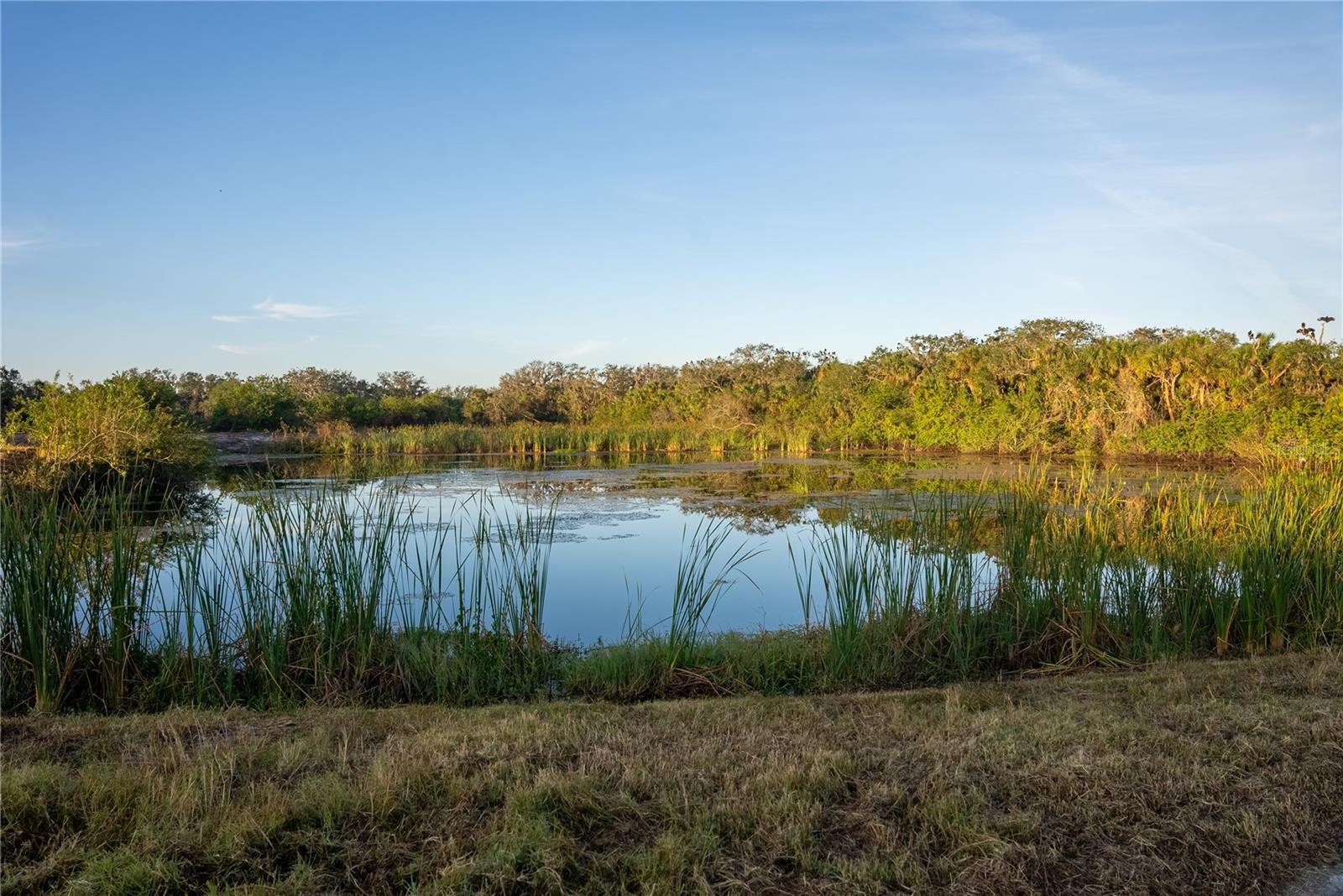 OAK FORD GOLF CLUB - Land
