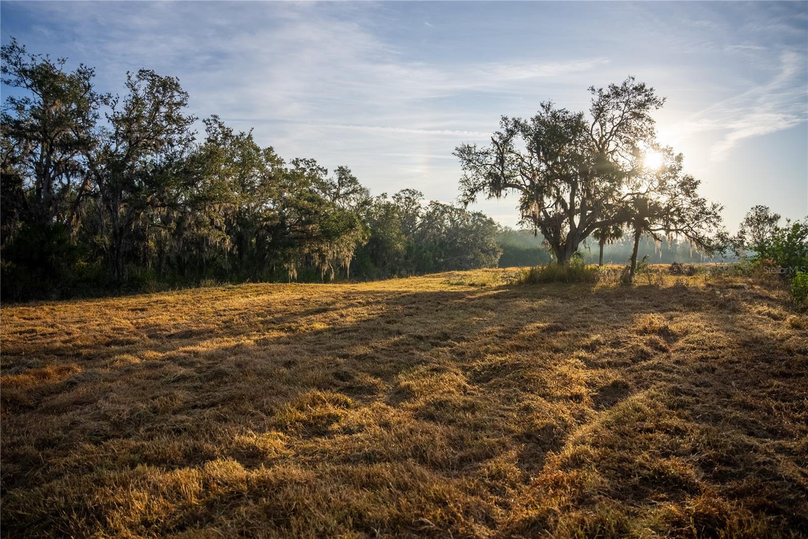 OAK FORD GOLF CLUB - Land