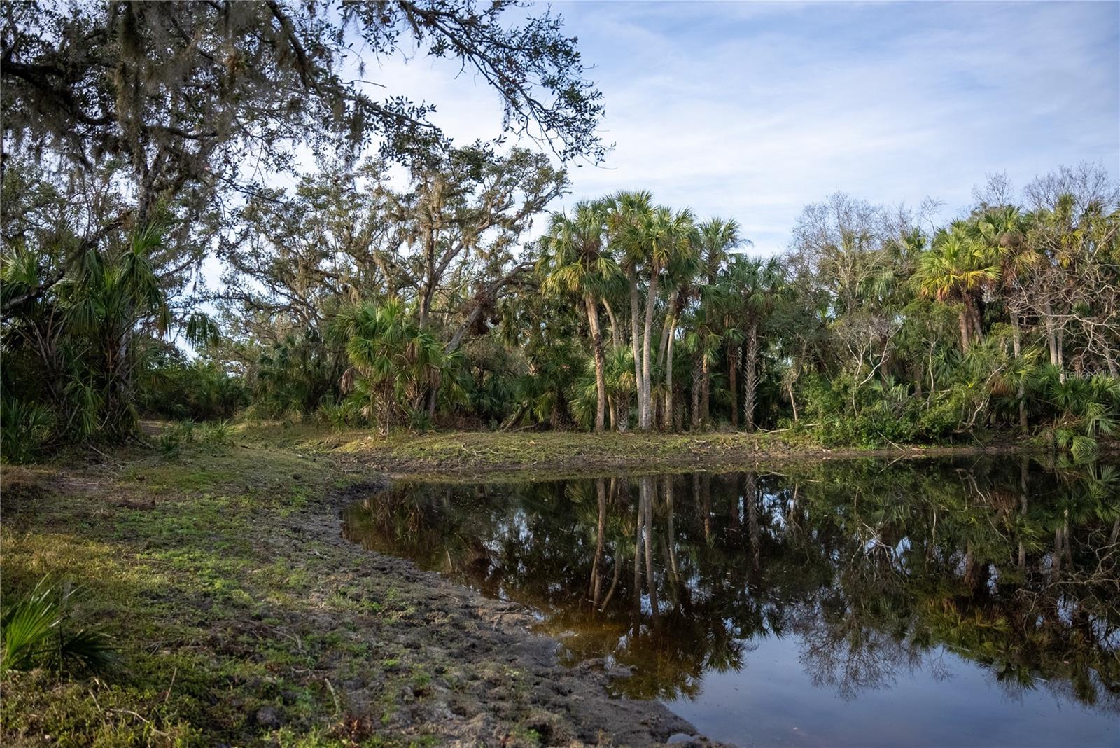 OAK FORD GOLF CLUB - Land