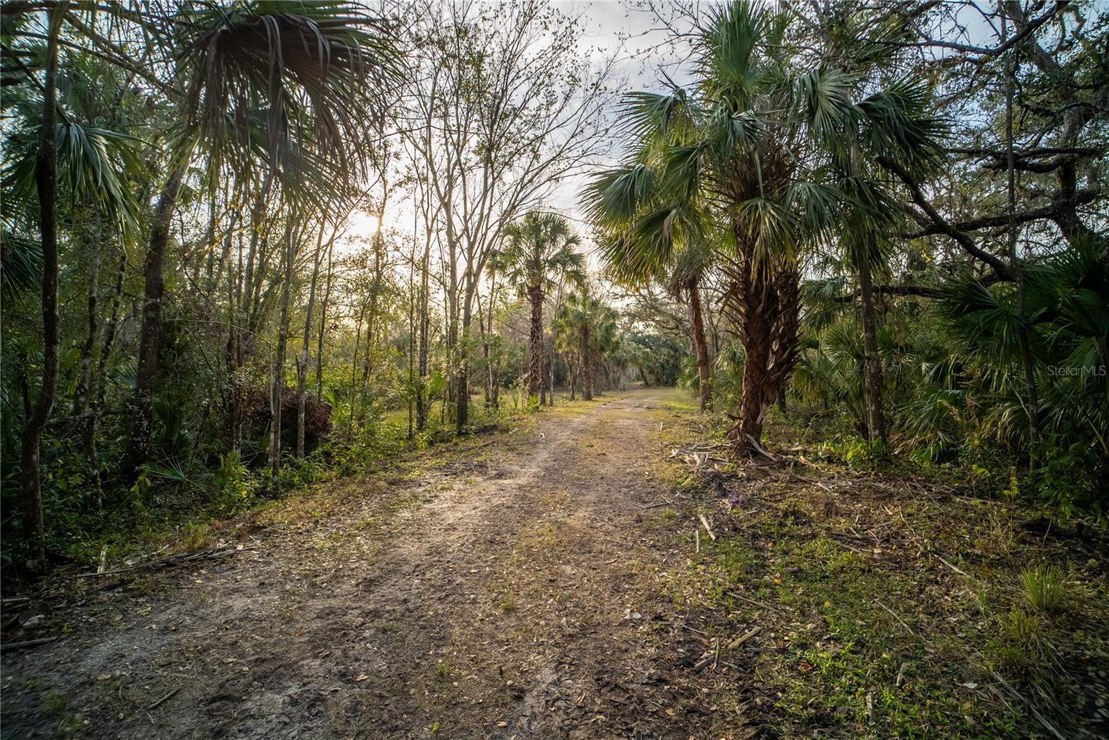 OAK FORD GOLF CLUB - Land