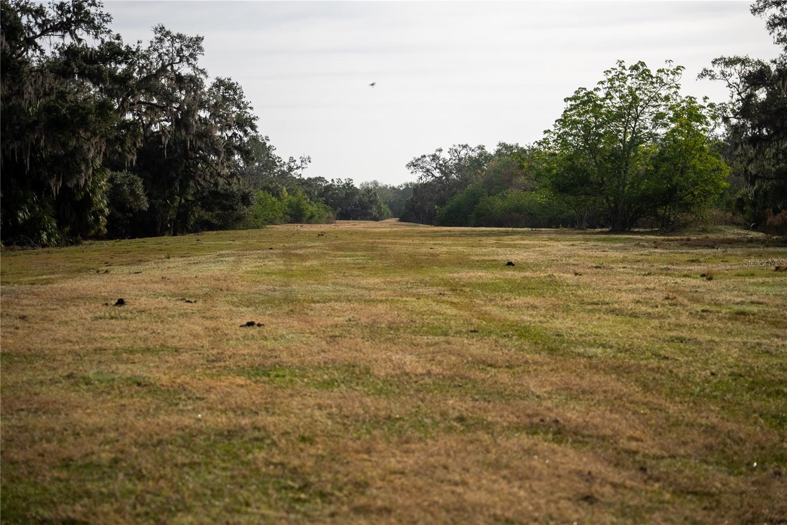 OAK FORD GOLF CLUB - Land