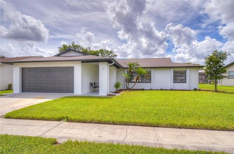 11520 BEAR PAW LANE PORT RICHEY FL 34668