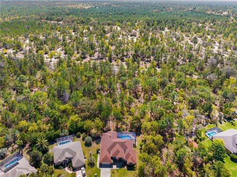 A home in HOMOSASSA