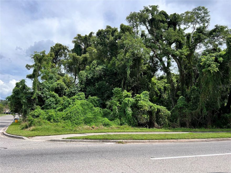 Vacant lot for sale! This .14 acre lot is available for your build, no HOA. Just minutes away from 408 East/West Expressway and close to Downtown Orlando. Lots 379, 371 and 363 are also available.