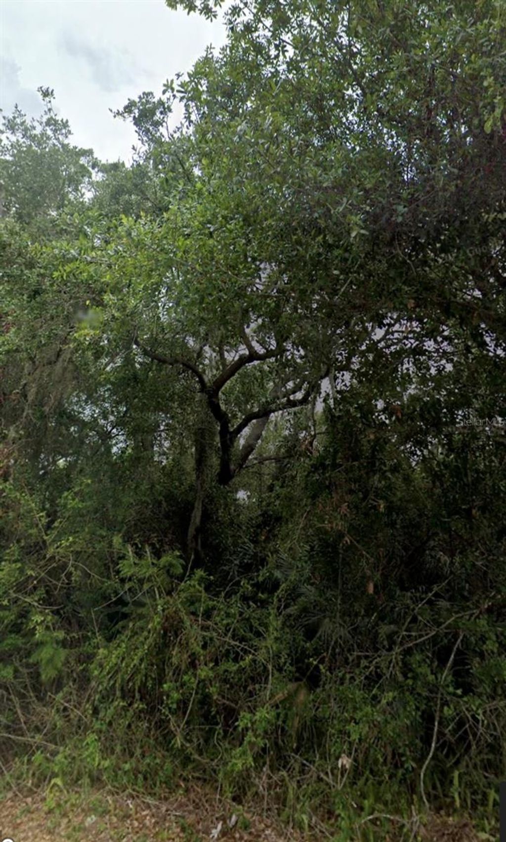 Photo of 2105 Basin Street, Port Charlotte, FL 33952 (MLS # C7489038)