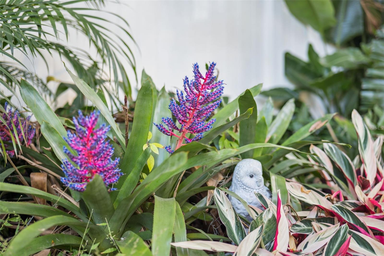 MONROE MEADOWS - Residential