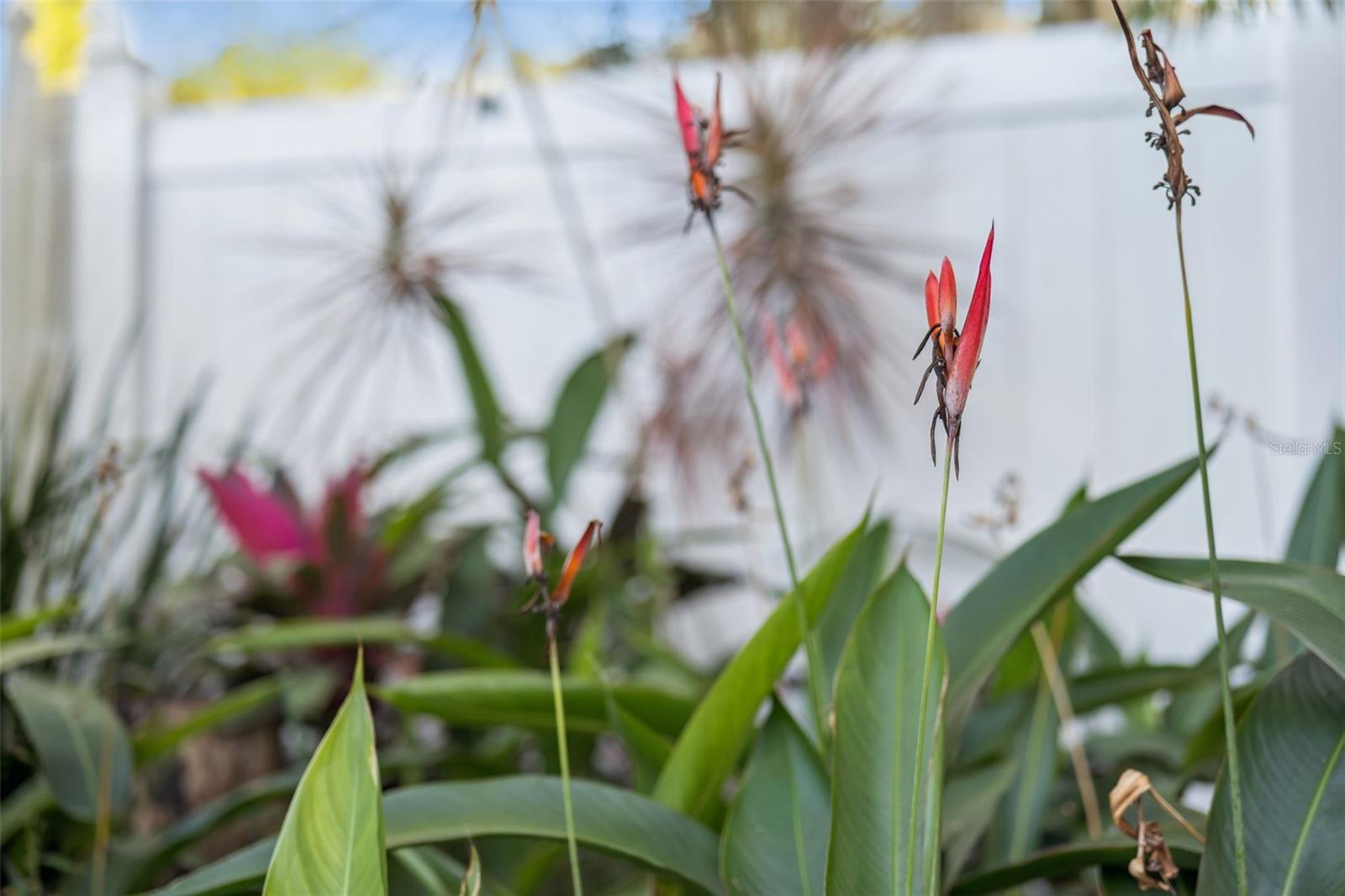 MONROE MEADOWS - Residential