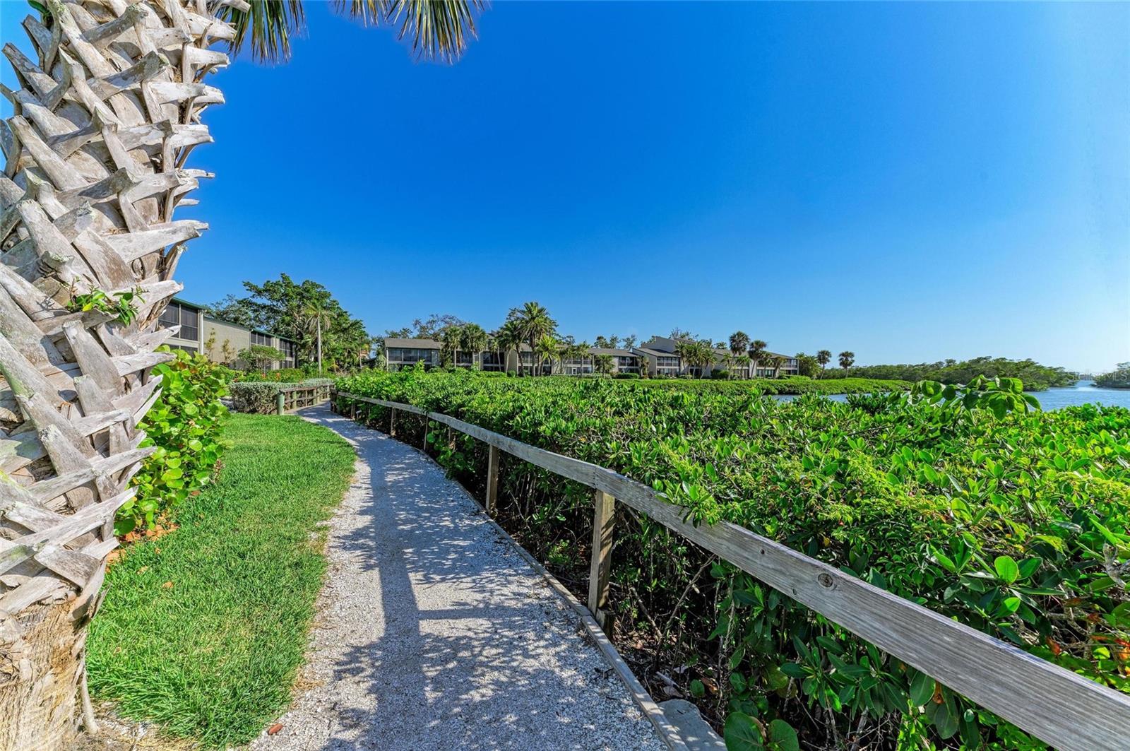 PELICAN COVE - Residential