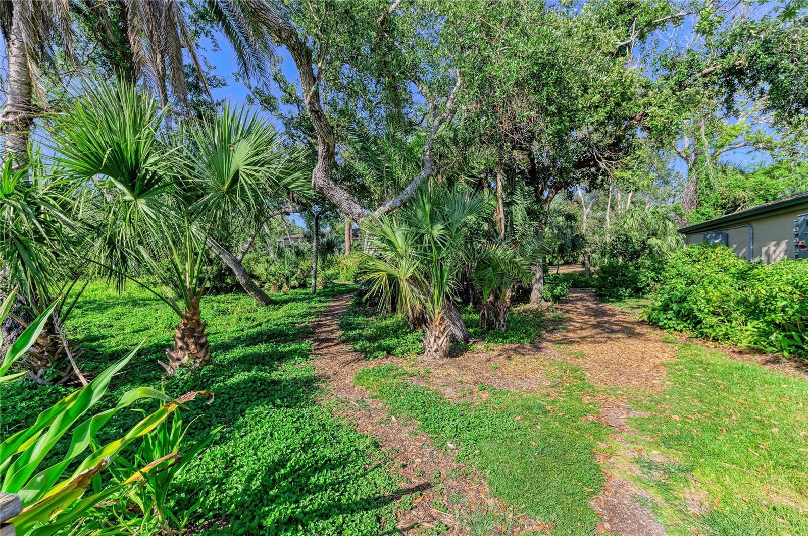 PELICAN COVE - Residential