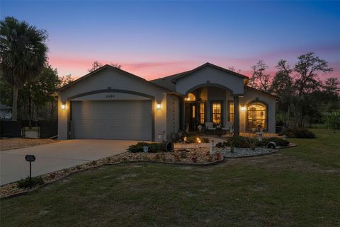 Photo of 10494 Desert Sparrow Avenue, Weeki Wachee, FL 34613 (MLS # TB8490283)