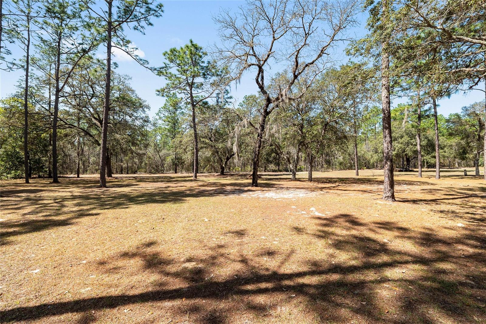 CLASSIC HILLS - Residential