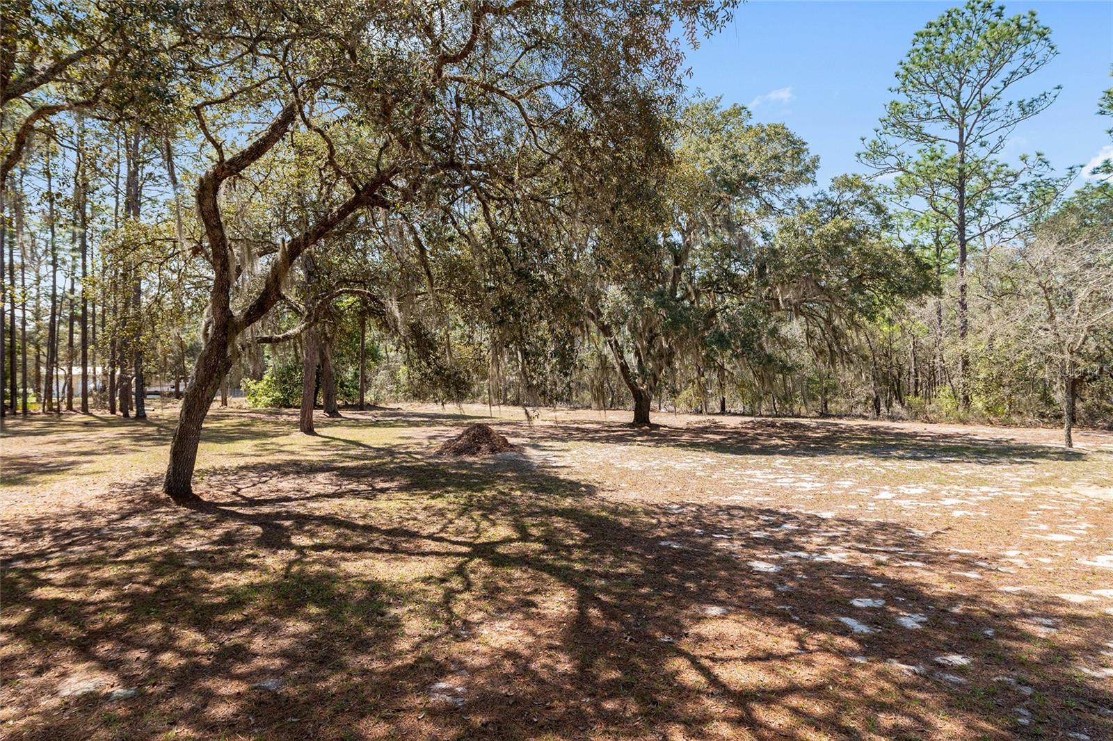 CLASSIC HILLS - Residential