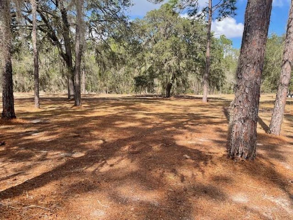 Photo of 4060 SW 166th Court, Ocala, FL 34481 (MLS # OM720084)