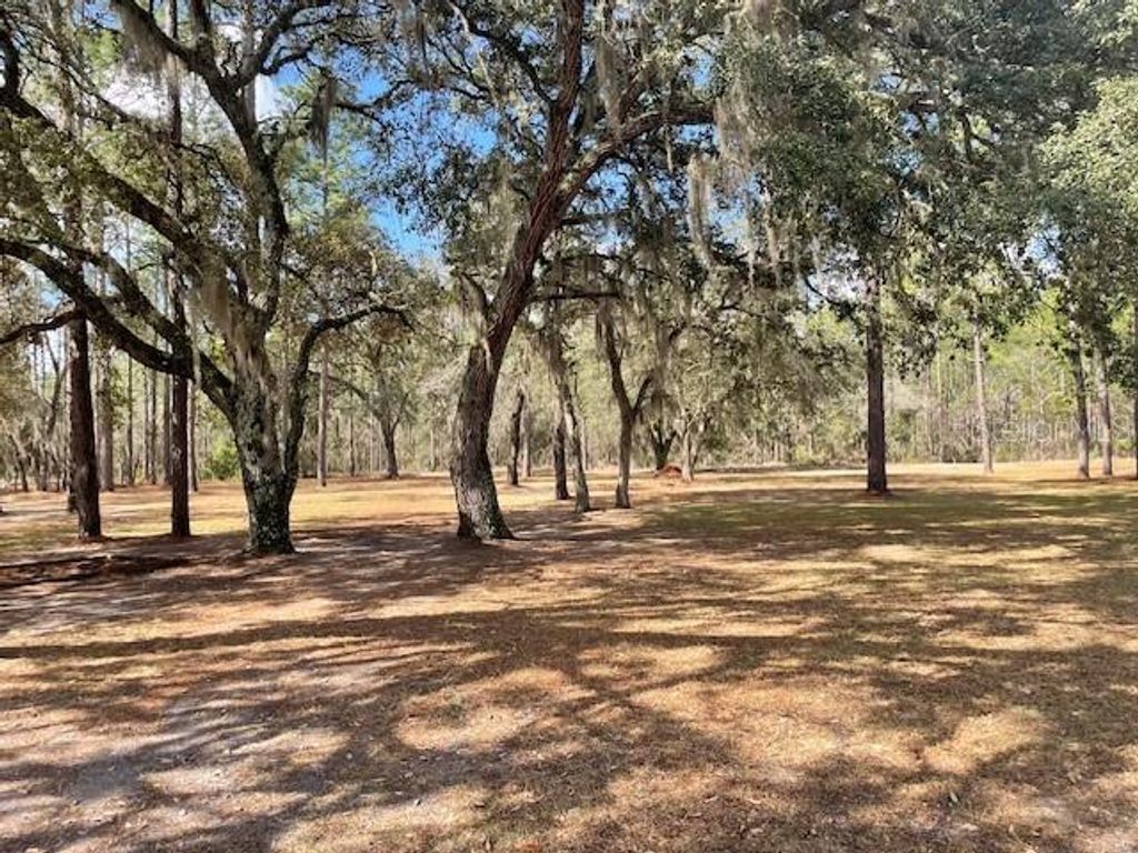 Photo of 4060 SW 166th Court, Ocala, FL 34481 (MLS # OM720084)