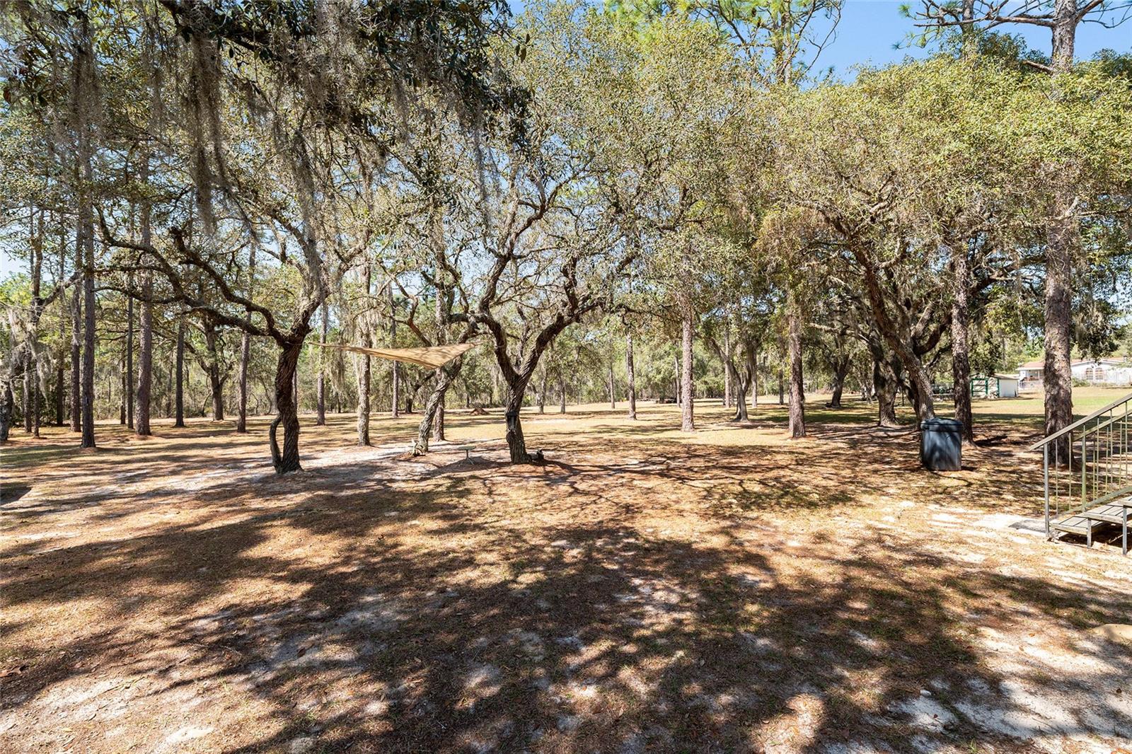 CLASSIC HILLS - Residential