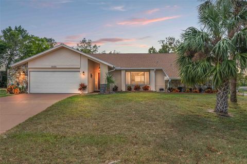 A home in SPRING HILL