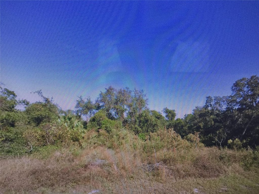 Photo of 407 Baltic Court, Kissimmee, FL 34759 (MLS # S5148955)