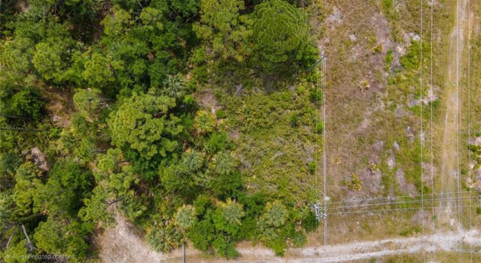 925 INDIAN CREEK LANE