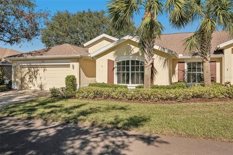 A home in SUN CITY CENTER