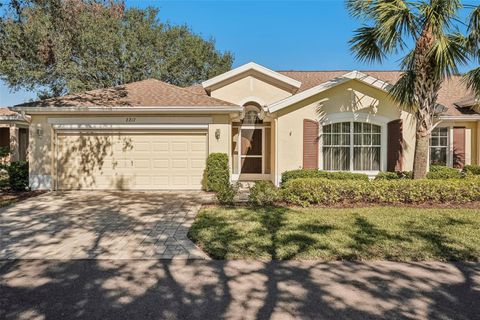 A home in SUN CITY CENTER