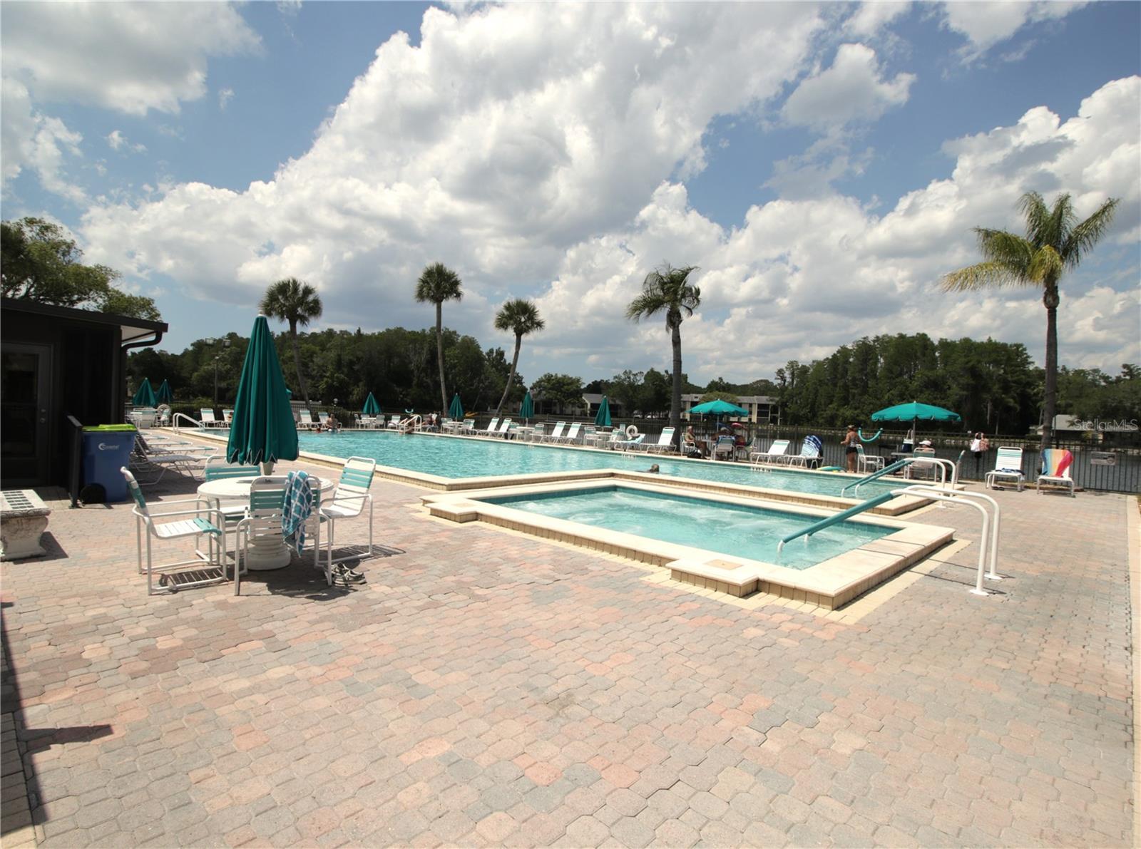 PINE RIDGE AT LAKE TARPON VILLAGE - Residential