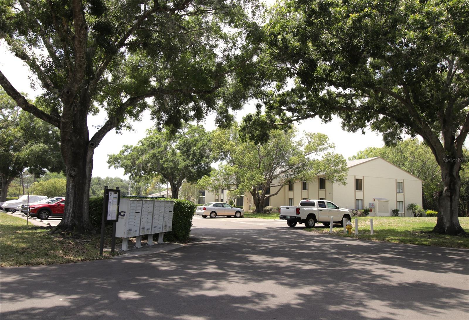 PINE RIDGE AT LAKE TARPON VILLAGE - Residential