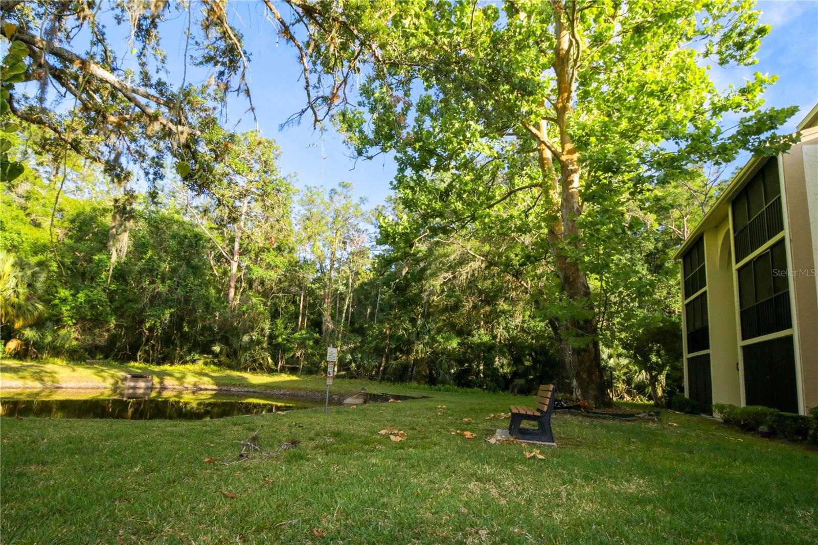 PINE RIDGE AT LAKE TARPON VILLAGE - Residential