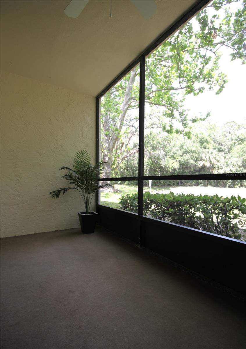 PINE RIDGE AT LAKE TARPON VILLAGE - Residential