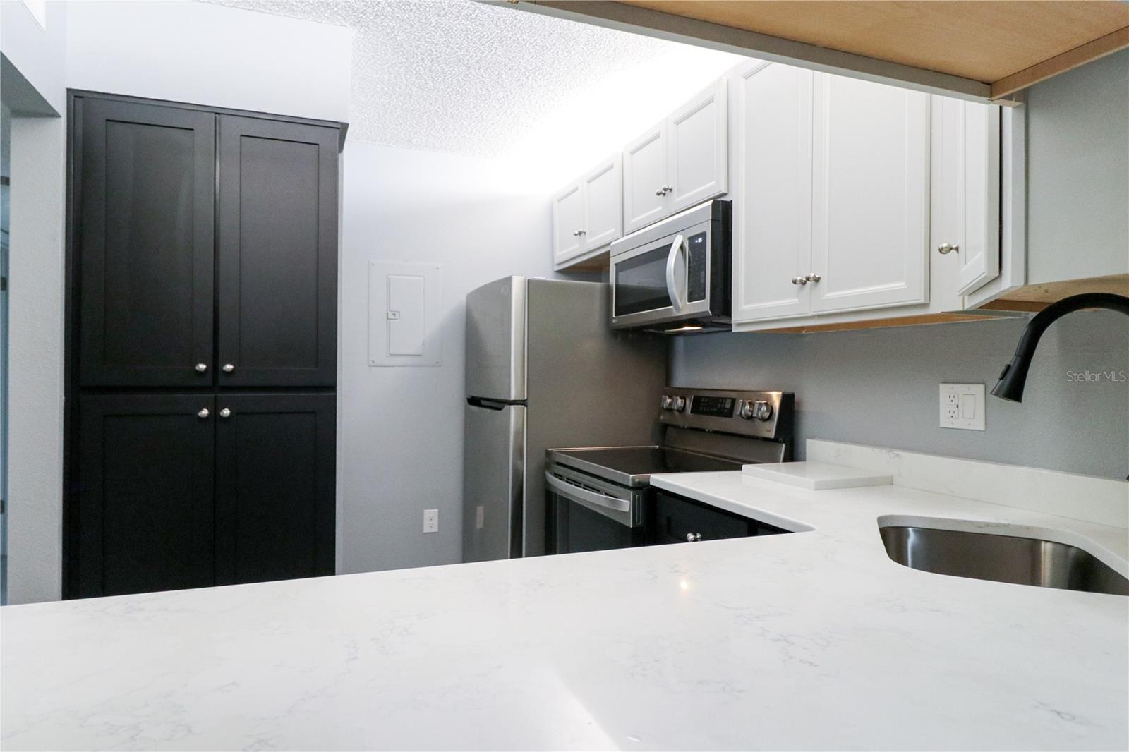 PINE RIDGE AT LAKE TARPON VILLAGE - Residential