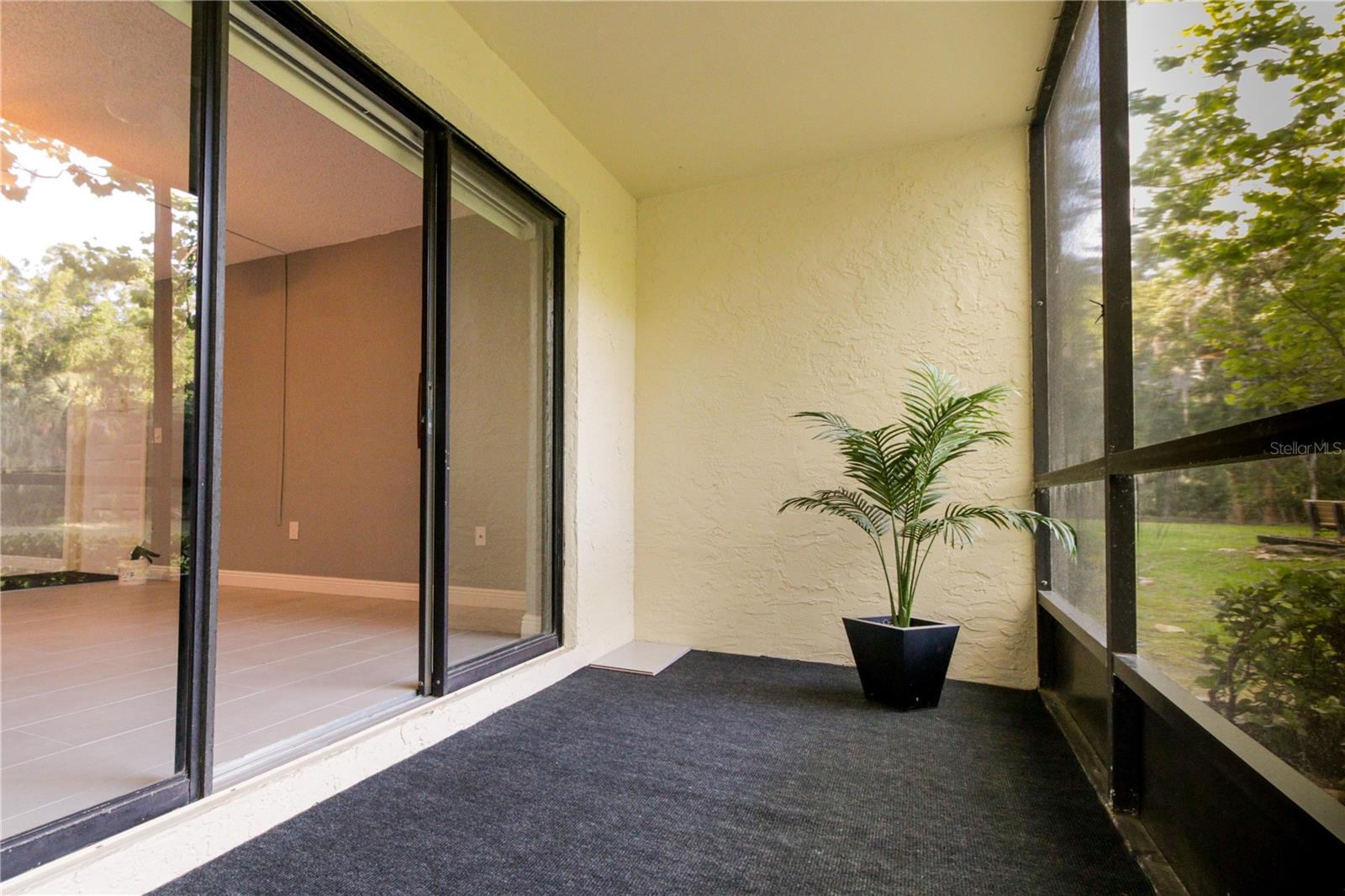 PINE RIDGE AT LAKE TARPON VILLAGE - Residential
