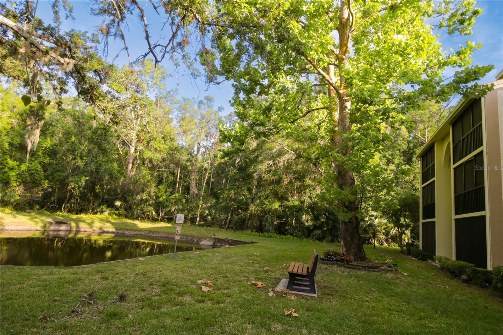 PINE RIDGE AT LAKE TARPON VILLAGE - Residential