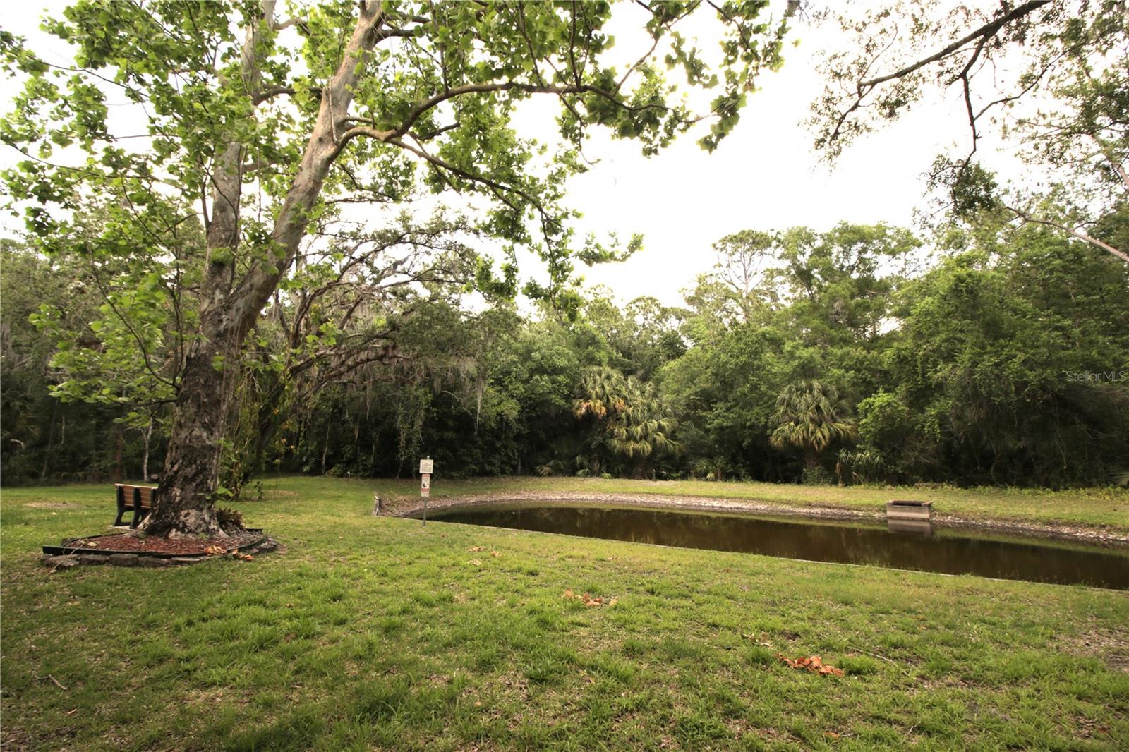 PINE RIDGE AT LAKE TARPON VILLAGE - Residential