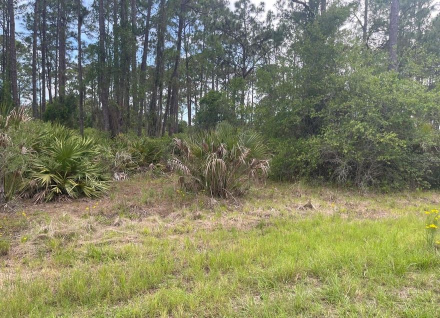 BUILDER READY THE ULTIMATE "FAST-TRACK" HOMESITE IN NORTH PORT! Stop searching and start building! This prime residential lot offers the perfect opportunity to secure a "hassle-free" piece of paradise in one of Florida’s fastest growing cities. Save thousands in annual expenses and construction delays this property is located in a preferred NON-FLOOD ZONE (X-ZONE), meaning no mandatory flood insurance is required, and is confirmed NOT IN A SCRUB JAY ZONE according to Sarasota County records. Experience the total freedom of NO HOA AND NO CDD FEES, allowing you to build on your own timeline with zero rental restrictions perfect for a custom forever home or a high-yield Airbnb investment.

The location is unbeatable for the 2026 lifestyle; you are just minutes from the world-class dining and retail at WELLEN PARK, the Atlanta Braves Spring Training at CoolToday Park, and the newly renovated WARM MINERAL SPRINGS. With the Price Boulevard widening project nearing completion and the new Sarasota Memorial Hospital campus nearby, this area is a high-demand hub for new construction. Enjoy effortless access to top-rated schools, the North Port Water Park, and the pristine Gulf beaches of Venice and Englewood. Whether you are a builder looking for a high-margin project or a homeowner ready to design a private sanctuary, this high-and-dry lot is PRICED TO SELL and ready for its new owner. BUY, BUILD, AND ENJOY THE FLORIDA LIFESTYLE TODAY! (Local builder referrals available upon request).