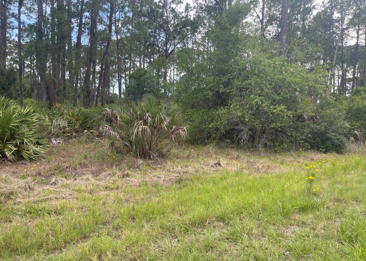 PORT CHARLOTTE SUB 27 - Land