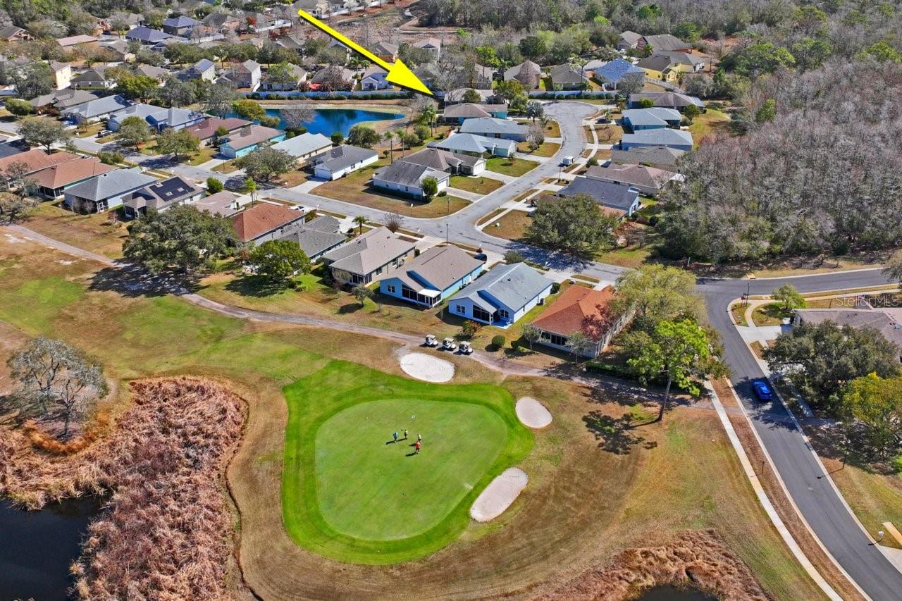 SUMMERTREE - Residential