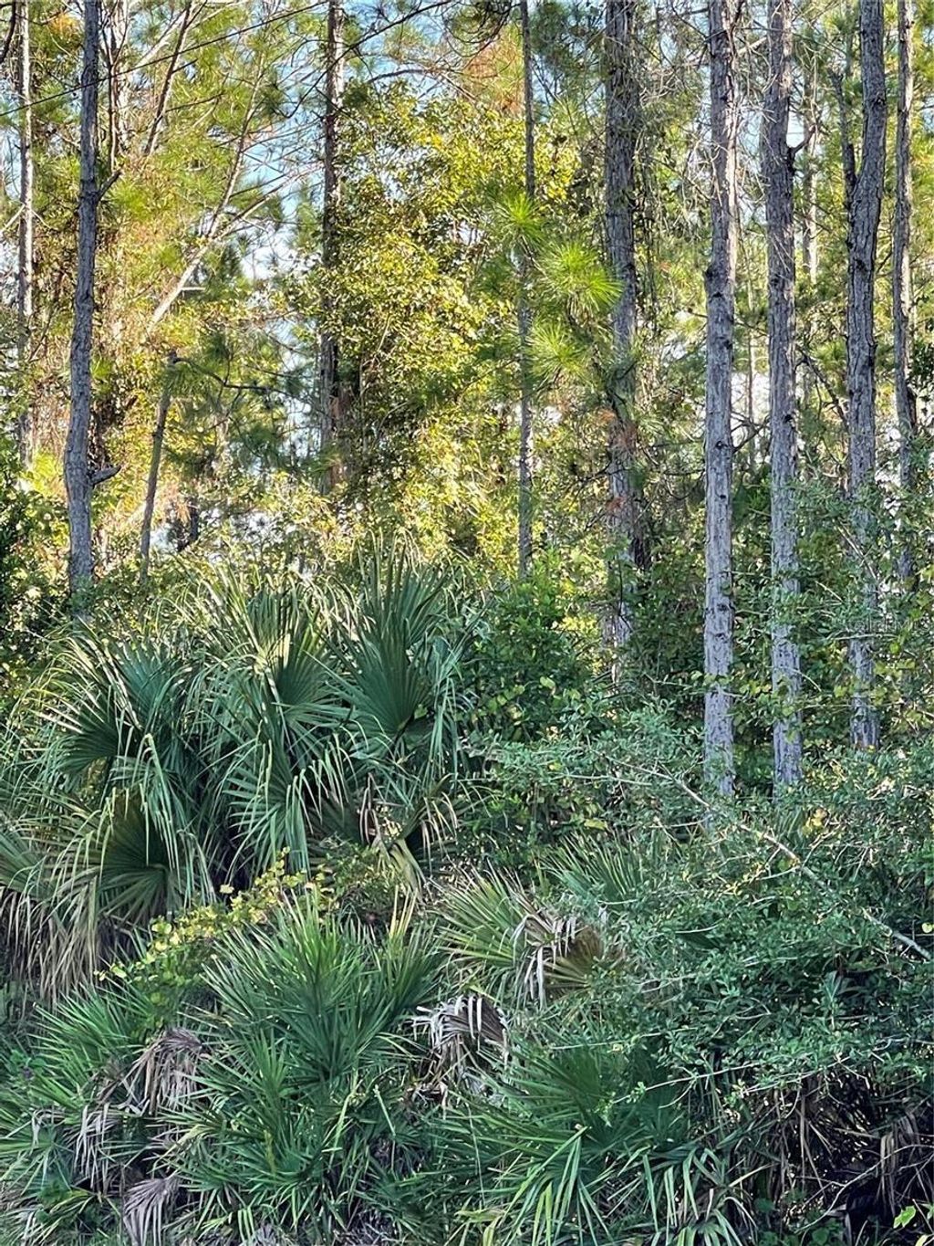 Photo of Old Train Road, Deltona, FL 32738 (MLS # S5140904)