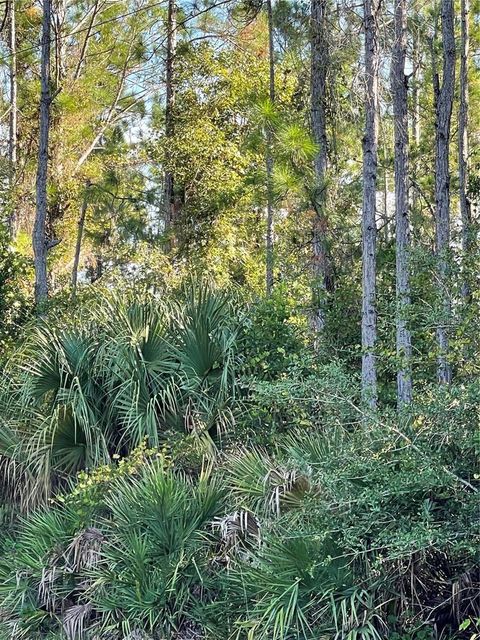 OLD TRAIN ROAD DELTONA FL 32738