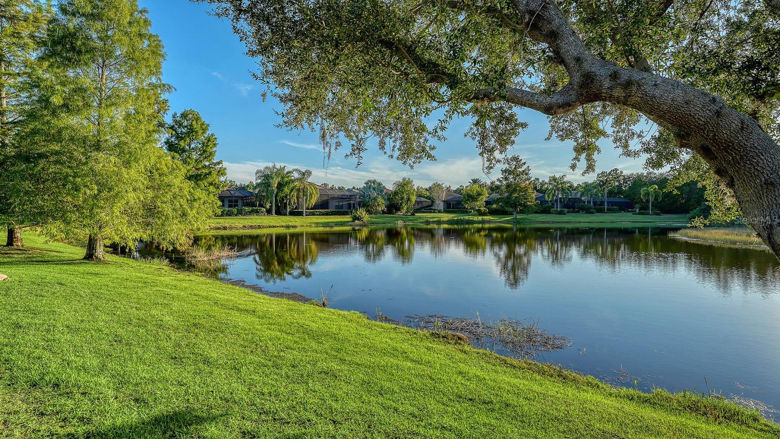 7836 VALDERRAMA WAY, LAKEWOOD RANCH, FL, 34202 4 7836 VALDERRAMA WAY