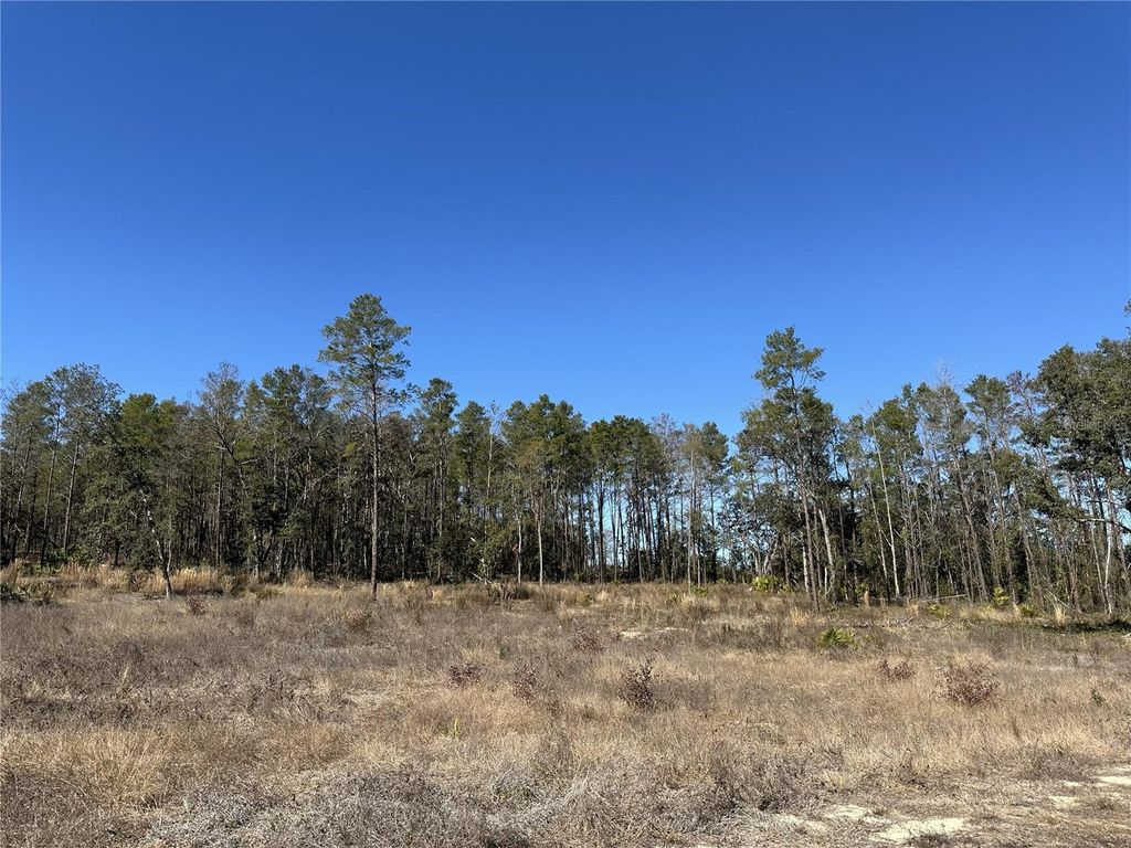 Photo of 13331 Haven Trail, Weeki Wachee, FL 34614 (MLS # TB8475150)