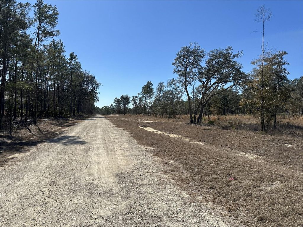 Photo of 13331 Haven Trail, Weeki Wachee, FL 34614 (MLS # TB8475150)