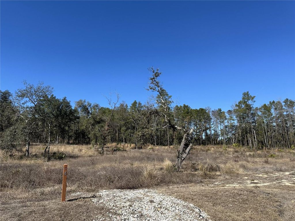 Photo of 13331 Haven Trail, Weeki Wachee, FL 34614 (MLS # TB8475150)