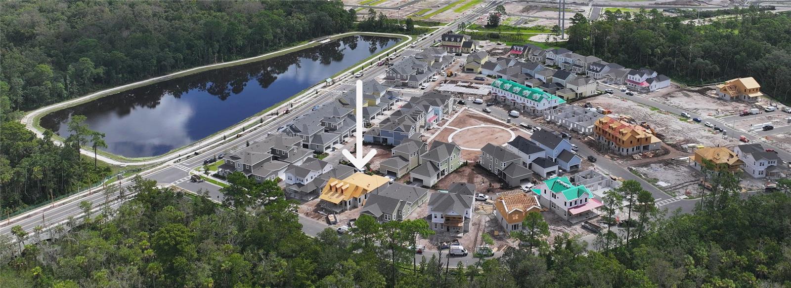 CELEBRATION ISLAND VILLAGE - Residential