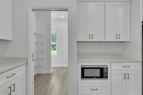 Tiny photo for 1608 Hickory Ridge Drive, Fruitland Park, FL 34731 (MLS # O6334043)