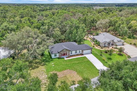 Tiny photo for 1608 Hickory Ridge Drive, Fruitland Park, FL 34731 (MLS # O6334043)