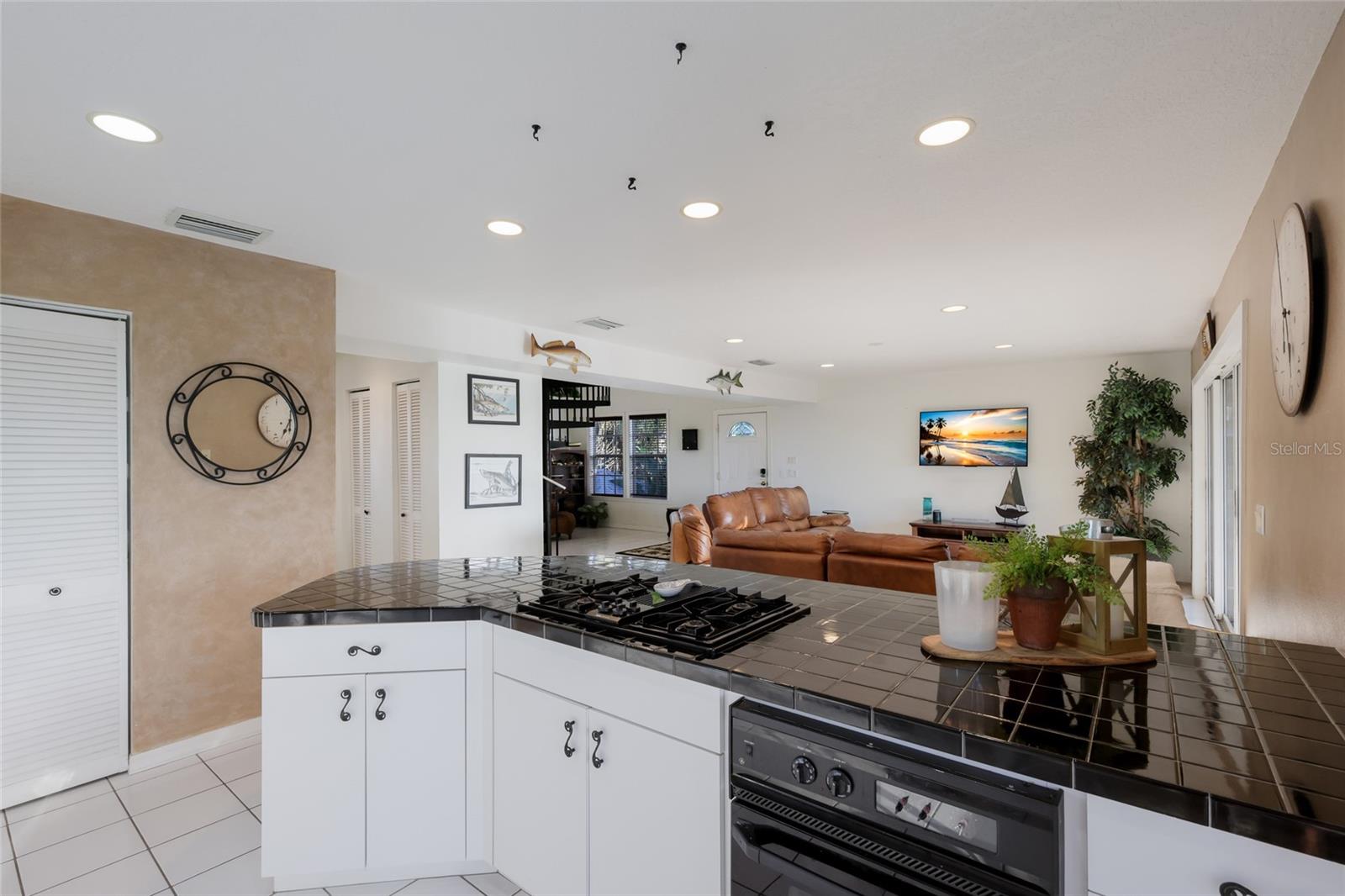 TERRA CEIA ESTATES - Residential