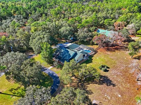 Tiny photo for 340 N Hedrick Avenue, Lecanto, FL 34461 (MLS # TB8463363)