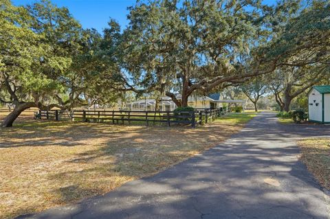 Tiny photo for 340 N Hedrick Avenue, Lecanto, FL 34461 (MLS # TB8463363)