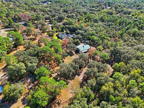 Tiny photo for 340 N Hedrick Avenue, Lecanto, FL 34461 (MLS # TB8463363)